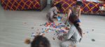 gypsies 05 2026  