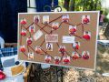 camp rockland  